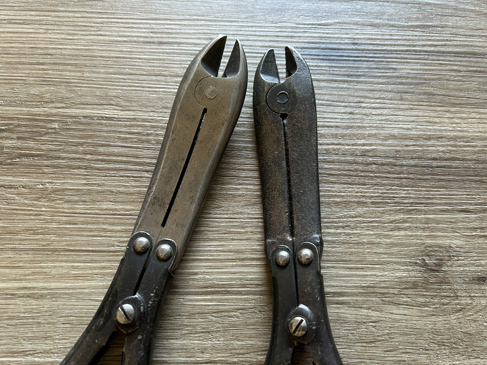 Picture 4 of 19