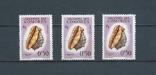 COMORES - 1962 YT 19 3x COQUILLAGES - TIMBRES NEUFS** MNH