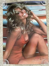Vintage Farrah Fawcett Poster 1976 Pro Arts Iconic Pin Up Pose CL 14-507