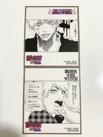 Bleach Burn The Witch Jump Fair 2021 Shikishi Artboard 2 Set Ichigo Ninny Japan