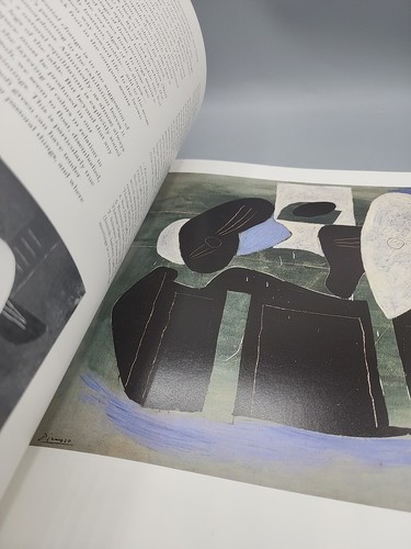 Picasso and Things by Jean Sutherland Boggs Art Book With Essays 1992 Cleveland - Picture 9 of 19
