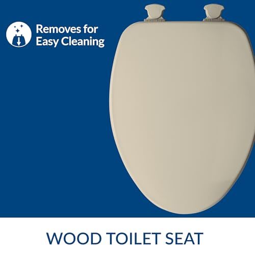 CHURCH 585EC 006 Toilet Seat with Easy Clean & Change Hinge, Elongated