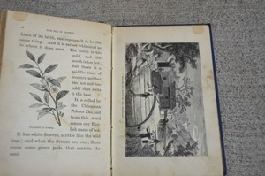 Antique-1883-Hardcover-Book-STORIES-ABOUT-SUGAR-TEA-COFFEE-ETC-Aunt-Martha-KIRBY