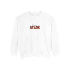 CHICAGO BEARS VINTAGE HOODIE  HIGH QUALITY  BRAND NEW