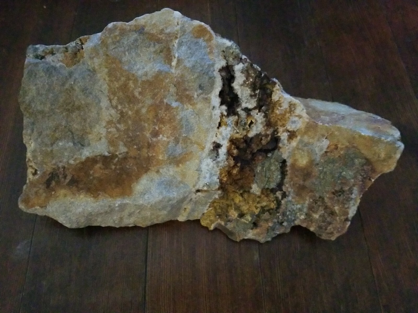 Amazing Colorado MOTHERLODE GOLD IN QUARTZ Ore Display specimen 7lb