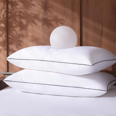 Luxury Queen Size Feather Down Pillows Set of 2, Plush & Fluffy Comfort