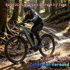 E-Mountainbike 48V 350W Elektrofahrrad Abnehmbarer Akku Hochwertiges 27,5 …