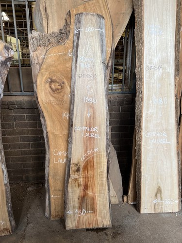 Camphor Laurel Timber Slab - 1.88m Long, GNT4390 - Picture 8 of 8