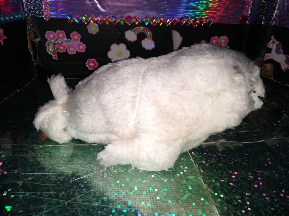 🦄Ganz / Webkinz "Sparkle Harp Seal" White w/Whiskers HM686 9" Plush! *No Code. - Image 4 of 4