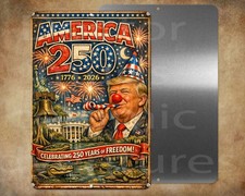 TRUMP 250 AMERICA CELEBRATION DC Swamp 8 x 12" metal sign Made in USA