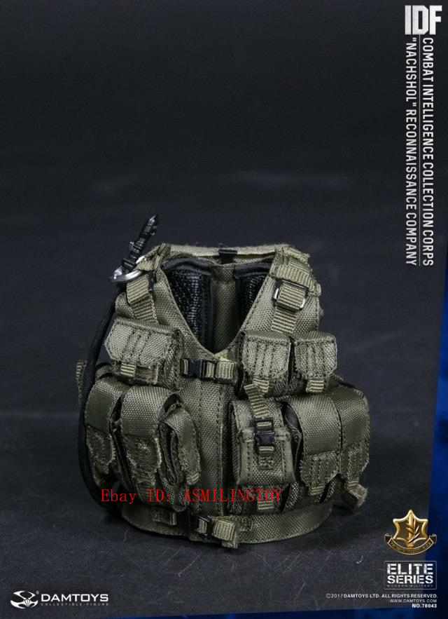 1/6 DAMTOYS 78043 Israel Idf 