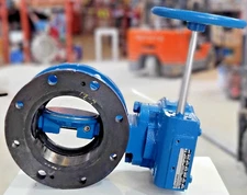 🟠DEZURIK BAW 6" 250 PSI BUTTERFLY VALVE PESSCO IS OFFERING 1 G112324-6-10 🗽