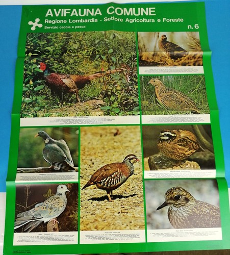 9 POSTER NATURALISTICI - SERIE CACCIA E PESCA REGIONE LOMBARDIA - VINTAGE - RARI - Foto 7 di 10