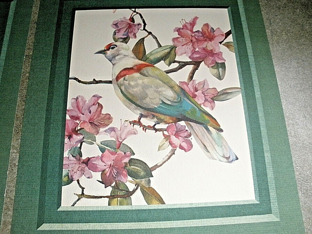 セシル・ゴールディング（Cecil Golding）プリントアート 2点セット CECIL GOLDING BIRD PRINTS NEW YORK GRAPHIC SOCIETY, 1940