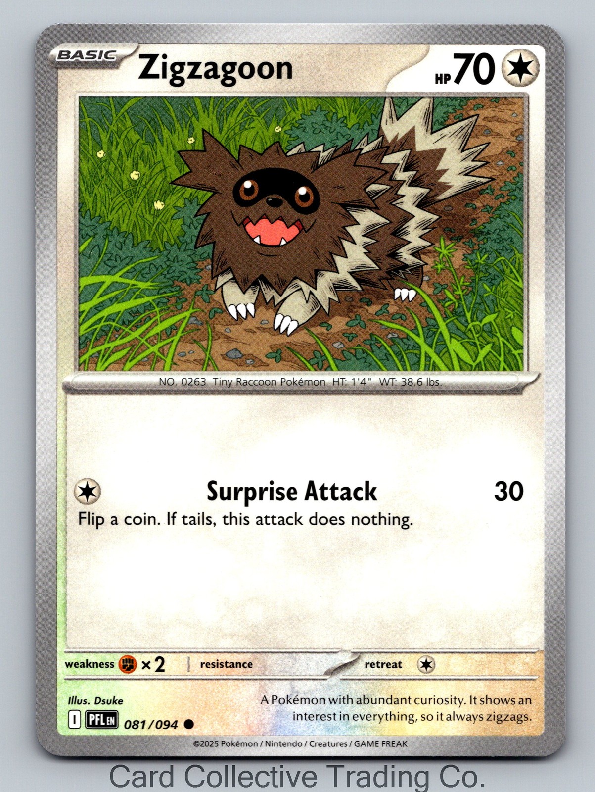 ME02: Phantasmal Flames Zigzagoon 081/094 NM Common