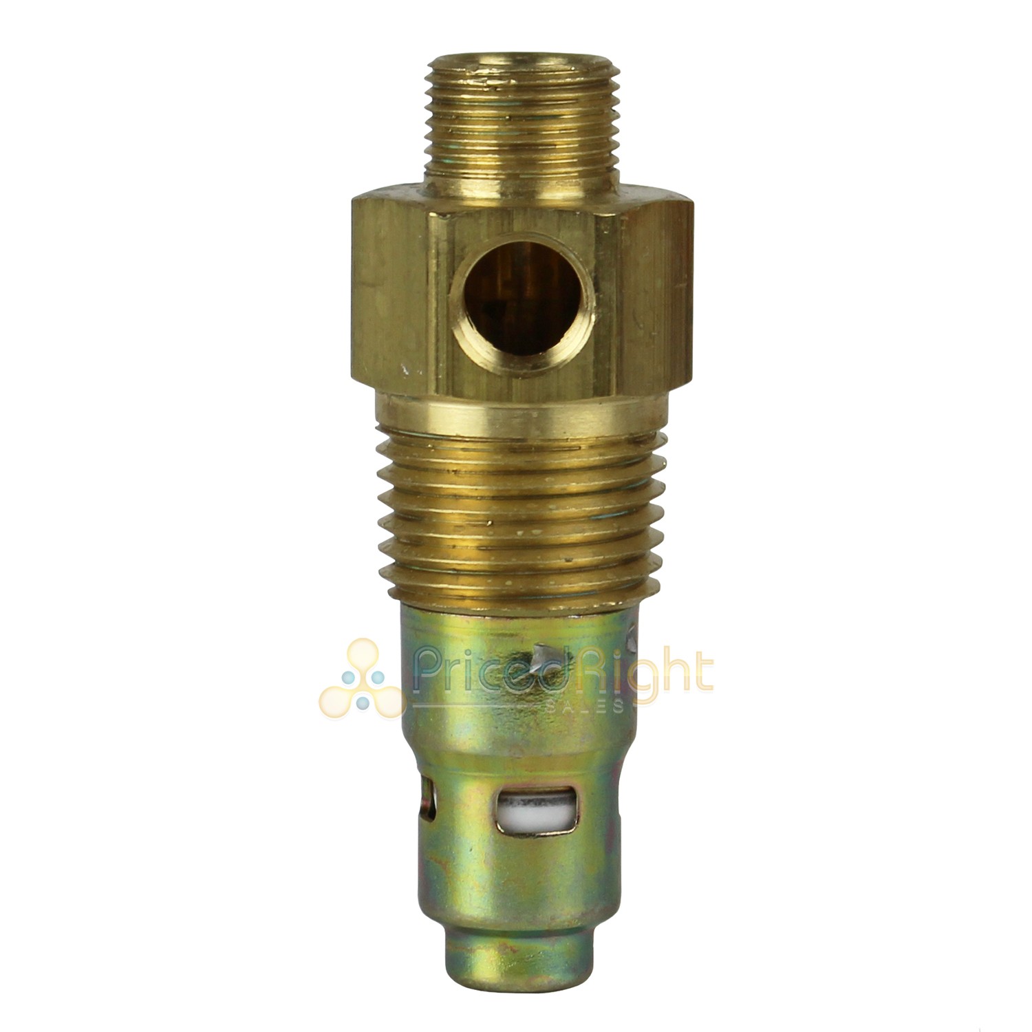 In Tank Check Valve
