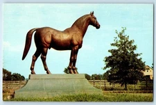c1960 Lexington Kentucky Postcard Man-O-War Wonder Horse Monarch Track Statue