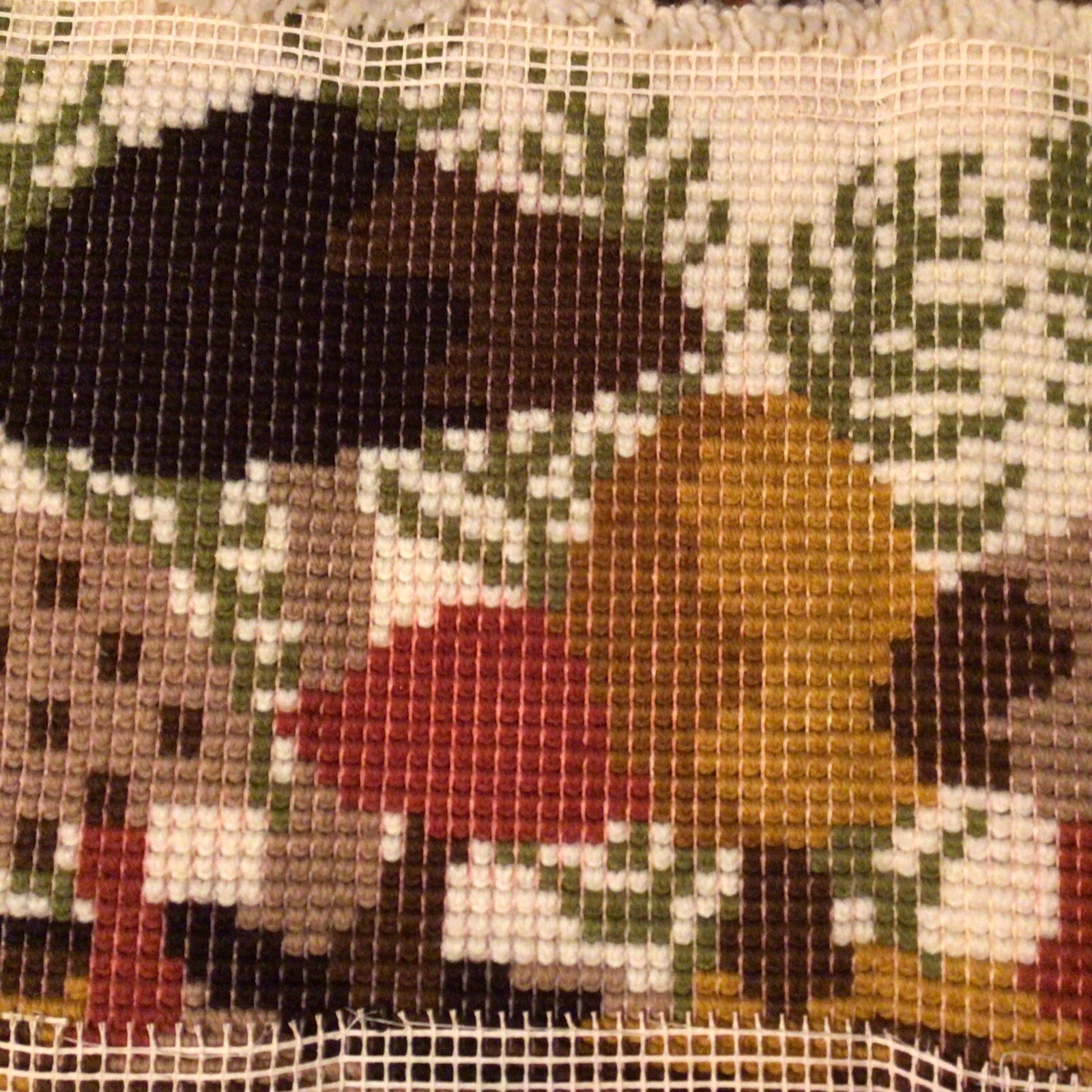 Picture 5 of 5