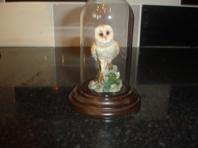 Country Artists Stratford Upon Avon Barn Owl Ebay