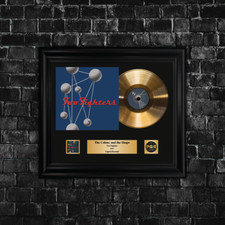 Copia firmata LP vinile - Foo Fighters - regalo memorabilia | PGR