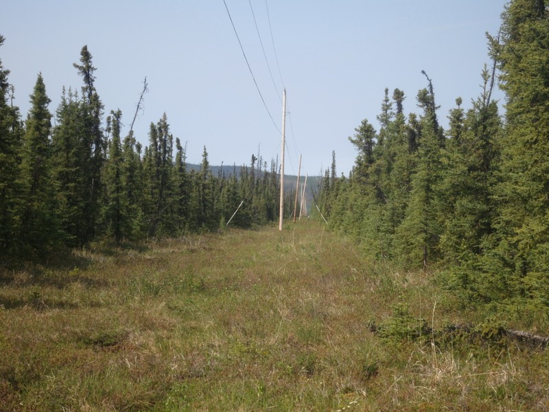 5.5 ACRES JUNE CREEK, ALASKA, POWER, CLOSE TO HWY, NO TAXES, NO BUILDING CODES