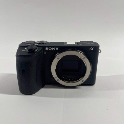 Sony α6600 
E PZ 16-50mm F3.5-5.6 OSS Dodd Camera - SONY A6600 Mirrorless Digital Camera Body