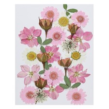 Dried Pressed Flowers Natural Leave Real Pressed Flowers Pink Series