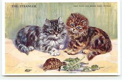 Tiere - Katze - M. Gear - The Stranger - Grey Tabby and Brown Tabby Kit - 20877