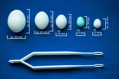 MARKENLOS Nesteier je5x Exoten-Kanarien-Wellensittich-Nymphen/Großsittich-1x Taube/Papagei