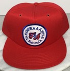 Vintage Tanimura Antle Salinas CA Patch Hat Logo Snap Back Insulated Foam Cap