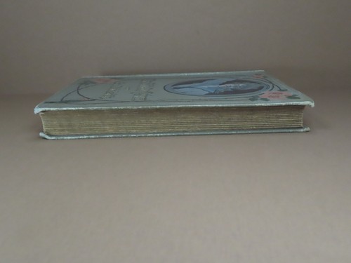 Das Gluck der Heimat bon S.V. Niebelshub 1905 hardcover - Picture 8 of 22