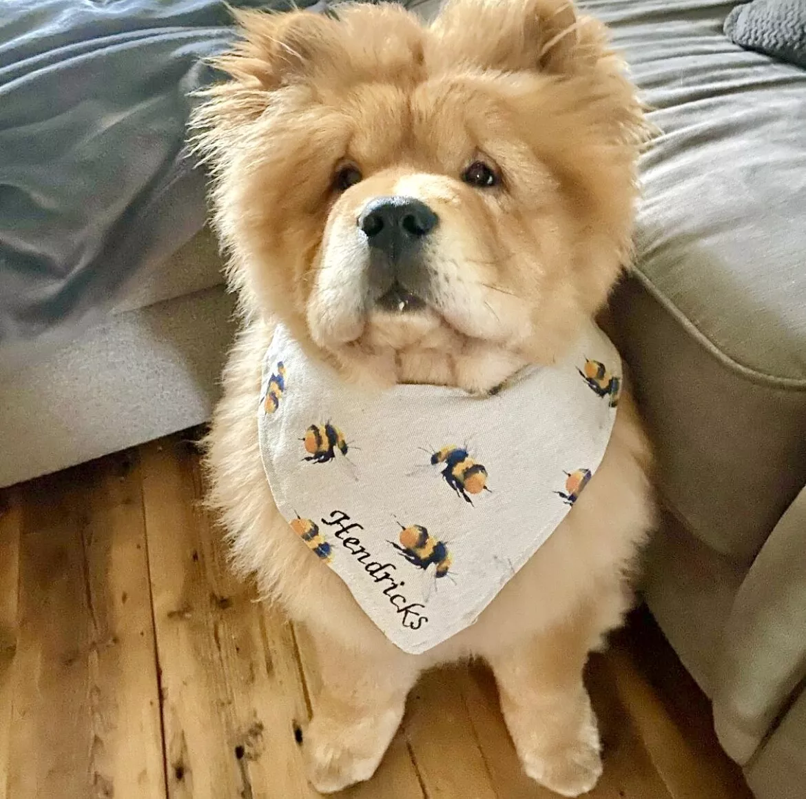 Bee Dog bandana neckacheif handmade personalised dog accessories chow chow