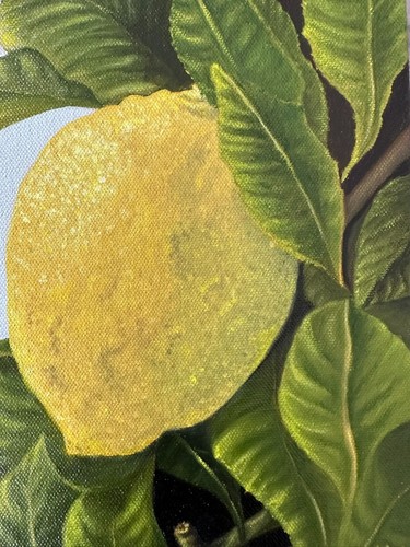 Original Oil Painting Still Life Lemon Tree Realism Abstract Art Home Wall Decor - Picture 3 of 13