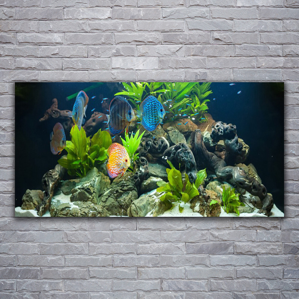 Tableau acrylique haut de gamme effet miroir motif poissons 120x60 cm Tulup