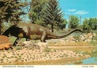 Postcard Diplodocus Utah Field House of Natural History Vernal Utah, Ut