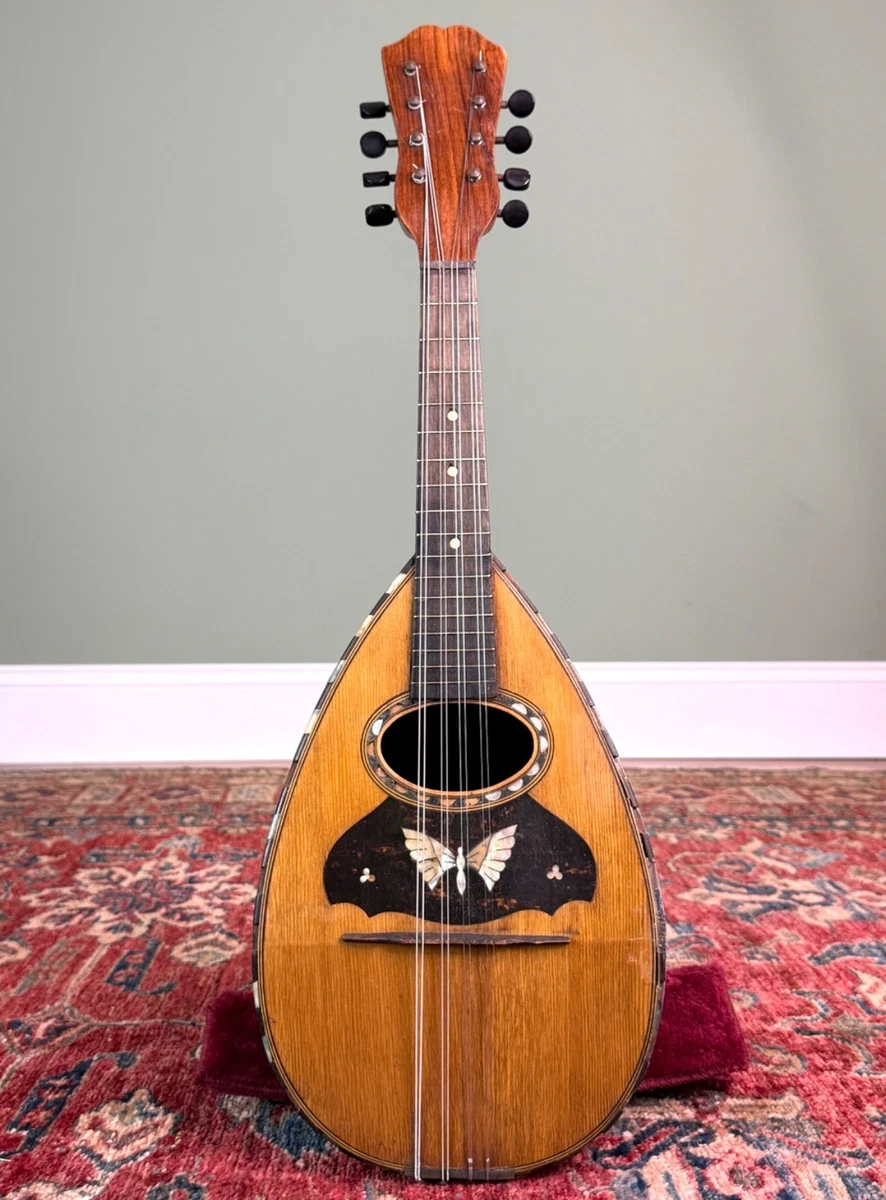 Antique Italian Mandolin for sale - eBay