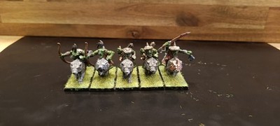 Goblin Wolfsreiter Warhammer Fantasy The Old World