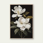 Elegant White Rose Floral Accents Poster Premium Quality Choose Your Size