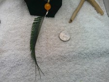 Real Feather Pendants - Teal with 18 inch CHAIN