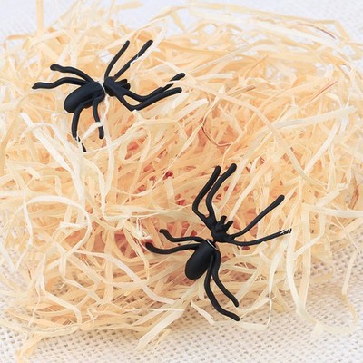 4 Pcs Gothic-Ohrring Für Den Täglichen Gebrauch Spinnenohrringe Bolzen Mädchen
