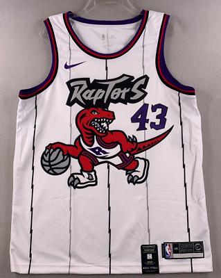 raptors nike men's swingman hwc jersey