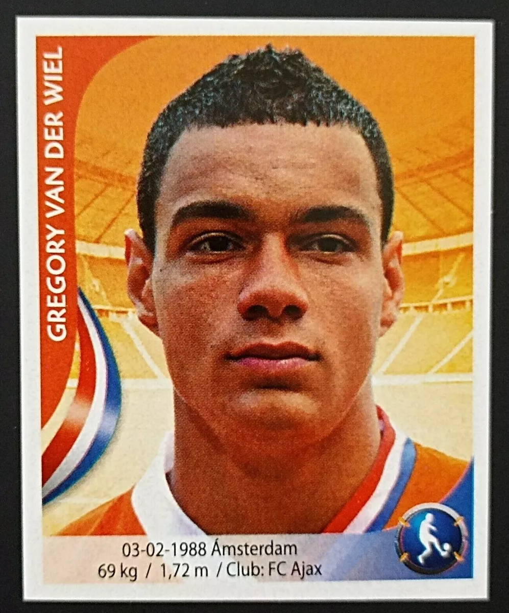 2010 Navarrete South Africa World Cup FIFA #234 GREGORY VAN DER WIEL  Netherlands