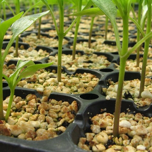 Samen Baumschule Topf Blumen Pflanzgefäße Kunststoff robust 200 Löcher Topf Pflanzschalen - Bild 3 von 6