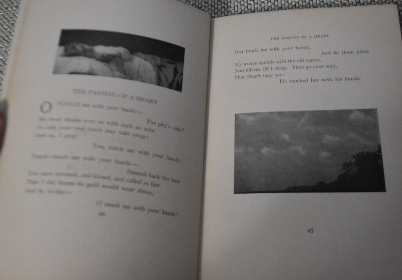 Picture 6 of 6