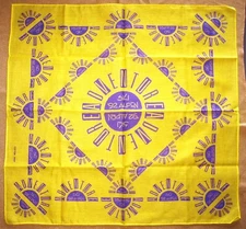 SKI ALPEN(Japanese Campany) "92 Bandana 52cm /UMEKOTK