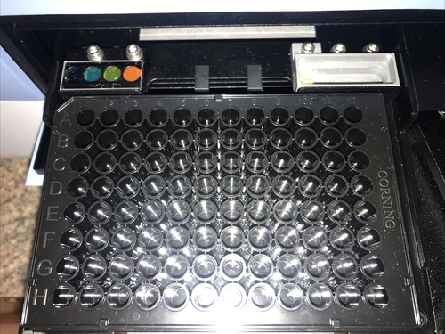 THERMO FLUOROSKAN MICROPLATE FLUOROMETER 374 30 Day Warranty - Picture 7 of 14