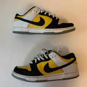 nike sb bic