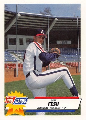 Sean Fesh 1993 Fleer ProCards 2269 Asheville Tourists Baseball Card