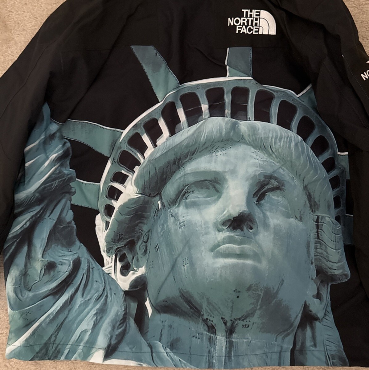 トップス Supreme/North Face Statue of Liberty Supreme The North Face Statue of Liberty Mountain Jacket Red