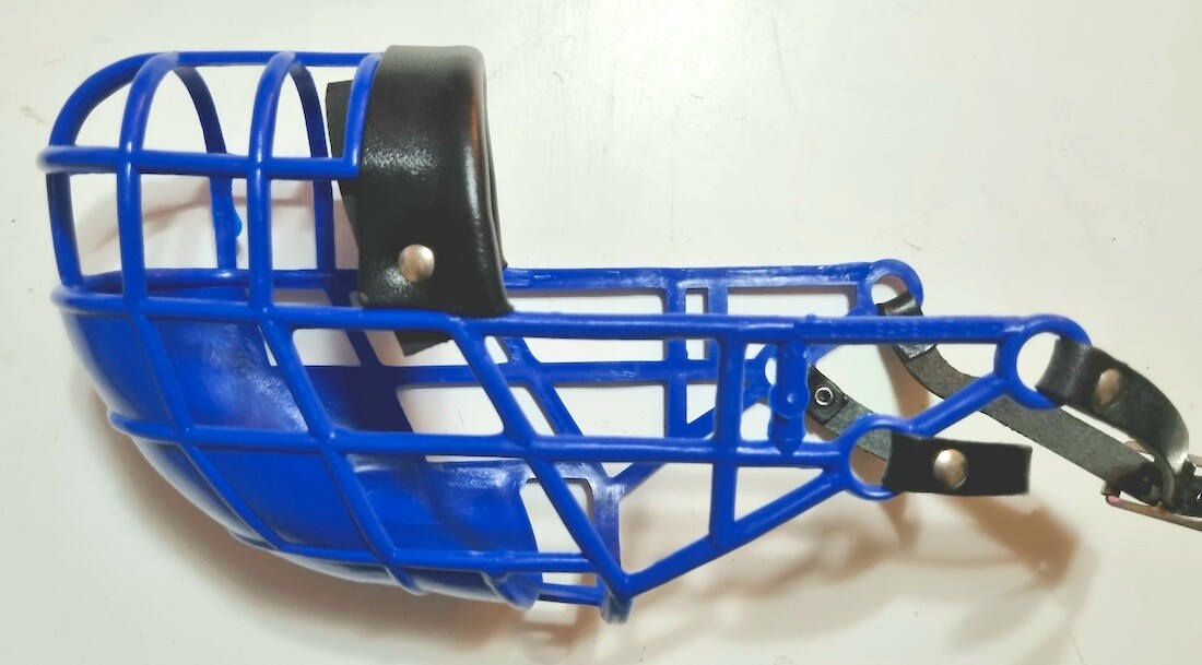 Picture 11 of 24